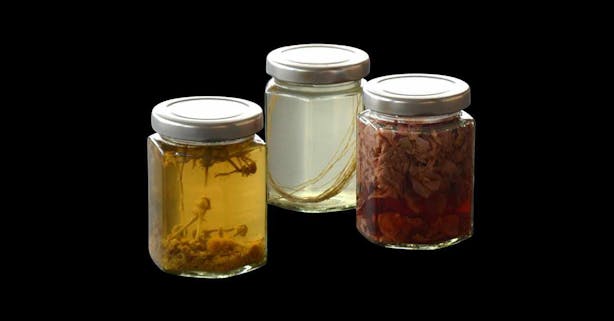 Read '28.0000° N, 45.0000° W (TIDAL ARCHIVE)'