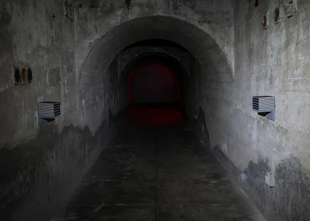 Read 'In the Face of the Dragon (Part II)'