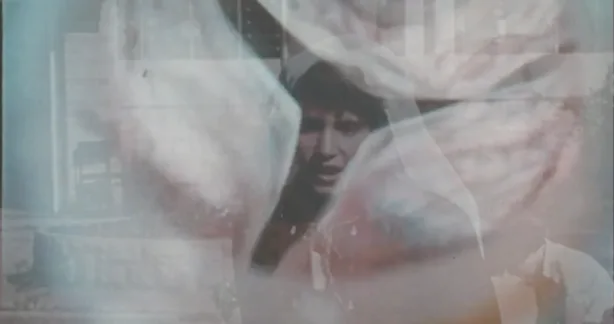 Read 'Come Along My Fog'