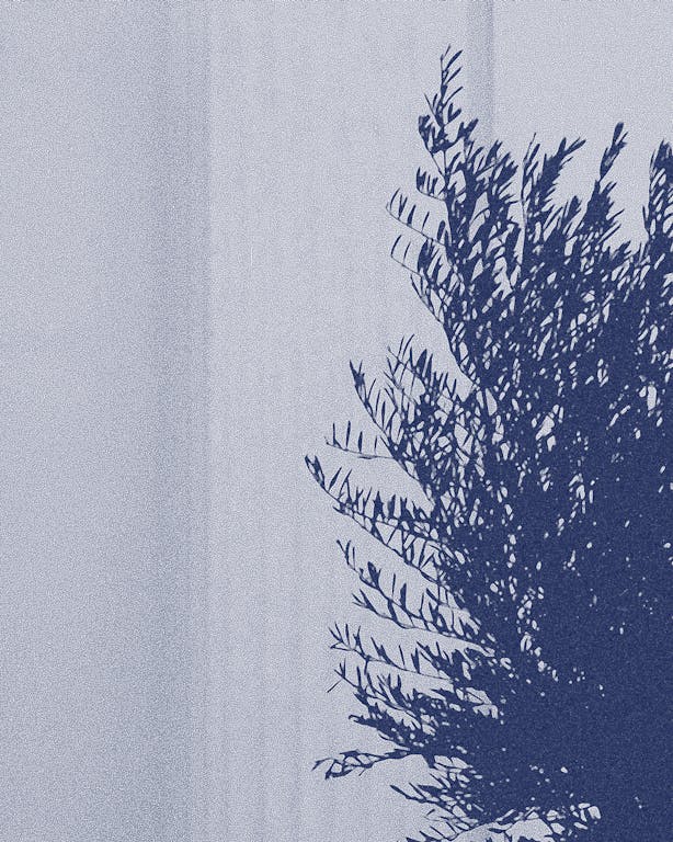 Read '6. The Organisation: On Governance and Structure'