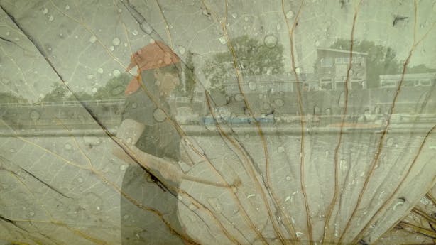 Read 'All That Burnt All That Glow'