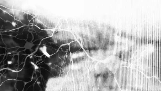 Read 'Technology & Power 004'