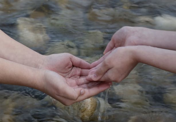 Read 'Thinking with Water in Palestine'